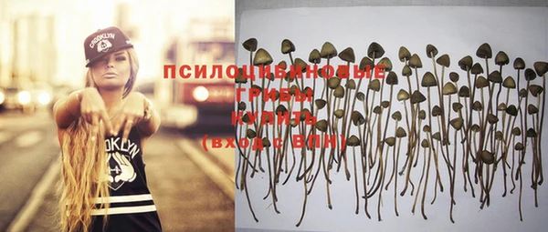 винт Абинск