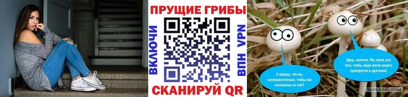 Псилоцибиновые грибы MAGIC MUSHROOMS  гидра ССЫЛКА  Новое Девяткино 